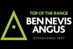 Ben Nevis Angus Bull Sale