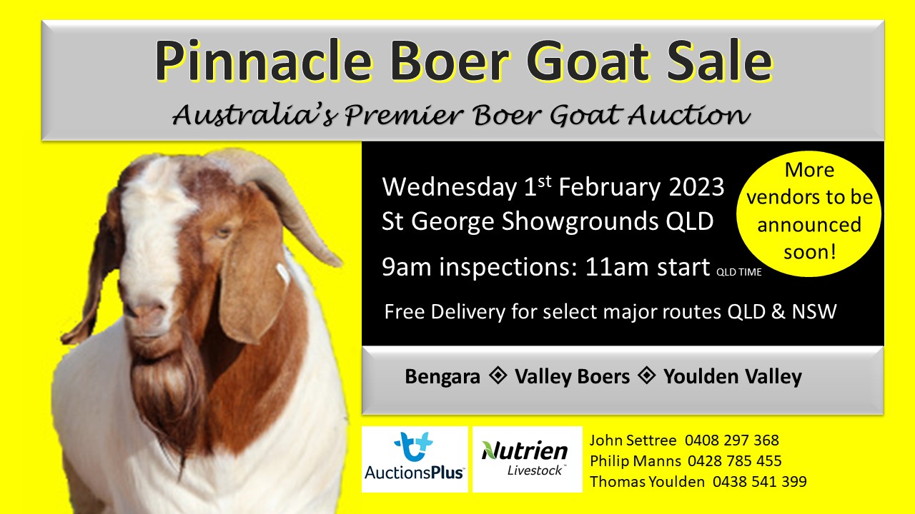 Pinnacle Boer Goat Sale, Australia's Premier Boer Goat Auction