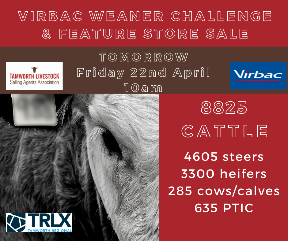 Virbac Weaner Challenge & Feature Sale