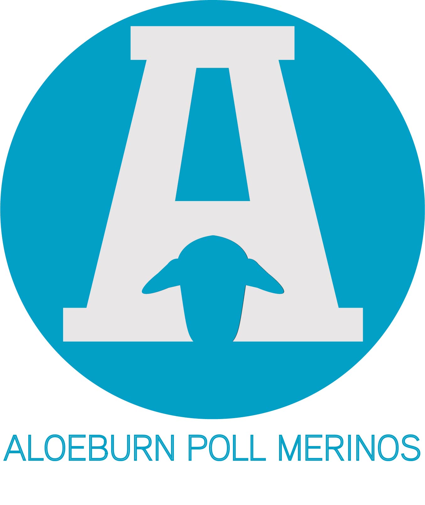 Aloeburn Poll Merino Ram sale