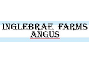 Inglebrae Farms Angus Bull sale