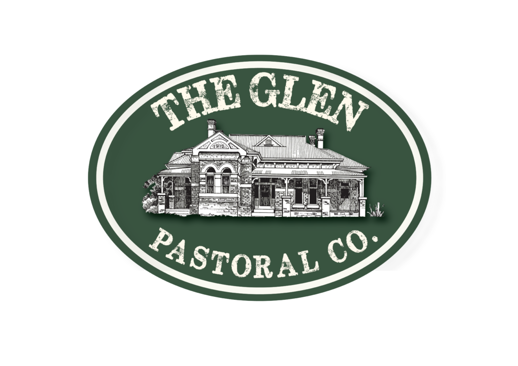 The Glen Pastoral Co Bull sale