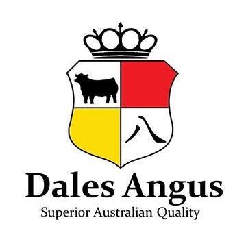 Dales Angus Bull Sale