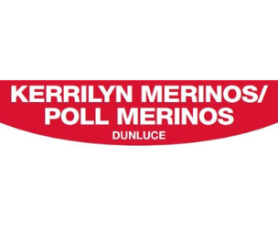 Kerrily Merinos  Annual On Property Sale