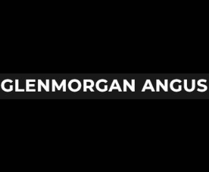 Glenmorgan Angus Bull Sale