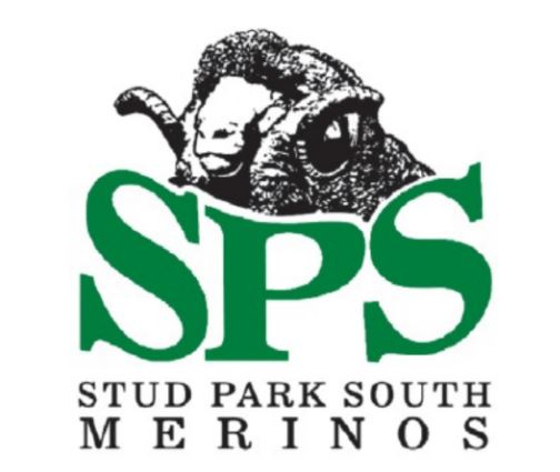 Stud Park South On-Property Merino Ram Sale