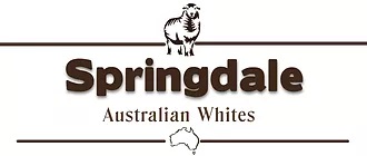 6th Annual Stanthorpe Australian White Ram Sale