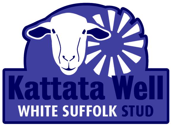 Katatta Well White Suffolk Ram sale