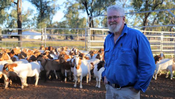 Goat producer says electronic tags will give credibility