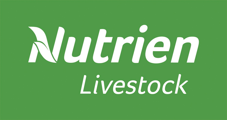 Nutrien Livestock Online Dorper Sheep Sale