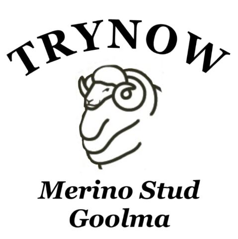 Trynow Merinos 36th Annual On Property Sale