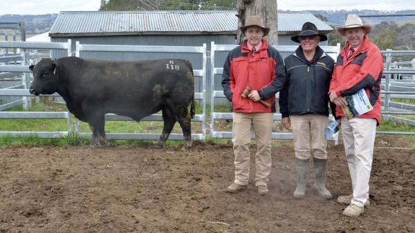 Qld buyer strikes again, this time at Yamba Angus