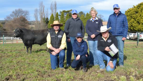 Karoo Angus grows its average by $3669 and sets a new stud best average