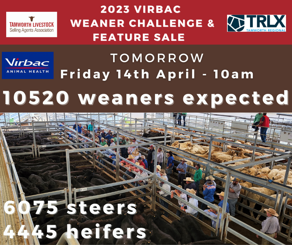 2023 Virbac Weaner Challenge & Feature Sale