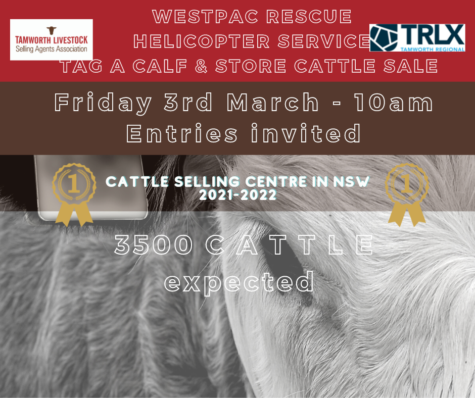 Westpac Rescue Helicopter Service Tag A Calf and store sale