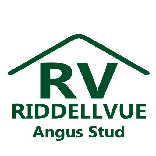 Riddellvue Angus Autumn Bull Sale