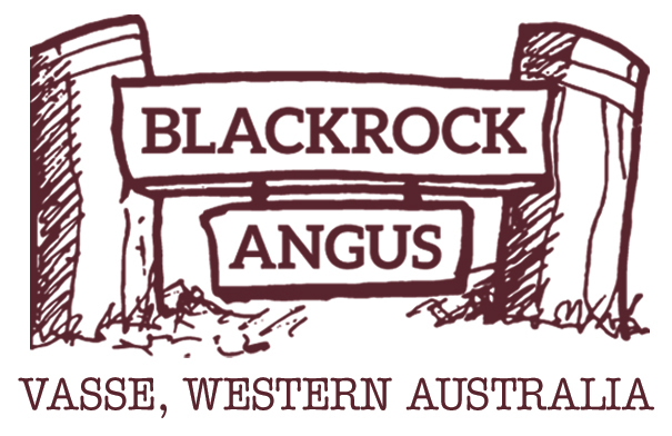 Blackrock Angus Annual Bull Sale
