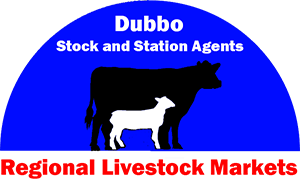 Dubbo Store Cattle Sale