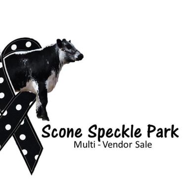 Scone Speckle Park Annual Invitational Sale