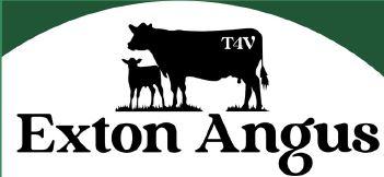 Exton Angus Invitational Bull sale