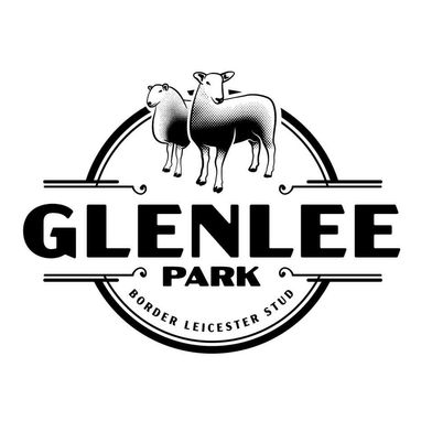 Glenlee Park Border Leicesters Annual Ram Sale
