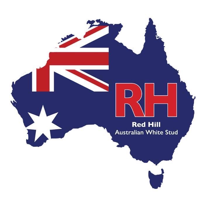 Red Hill 9th Annual Australian White Sale
