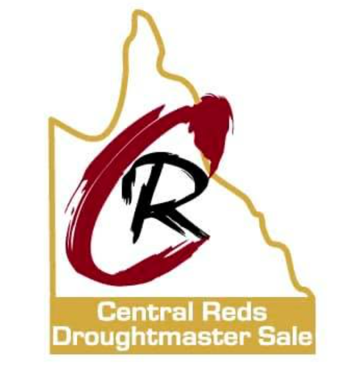 Central Reds Droughtmaster Sale
