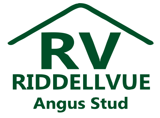 Riddellvue Angus Inaugural Registered Female Sale
