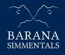 Barana 23rd Annual On Property Bull Sale