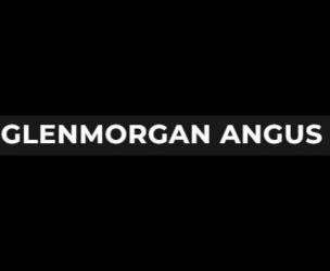Glenmorgan Angus Bull Sale