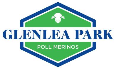 Glenlea Park Poll Merinos
