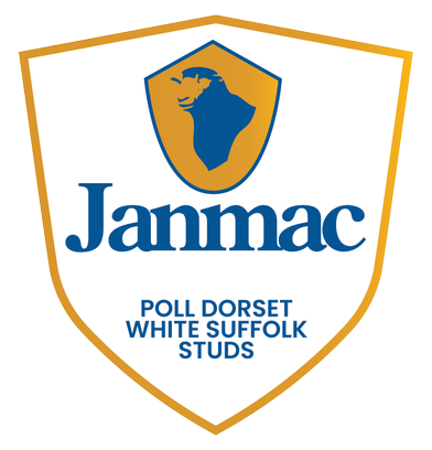 Janmac Poll Dorset & White Suffolk Stud Annual On-Property Sale