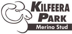 Kilfeera Park Merino Ram Sale