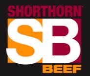 Shorthorn Spring Fling Bull Sale