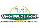 Woolumbool Studs  Annual On-Property Ram Sale