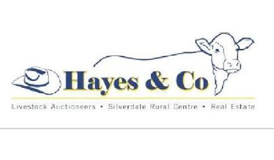 Hayes & Co Working Dog Sale