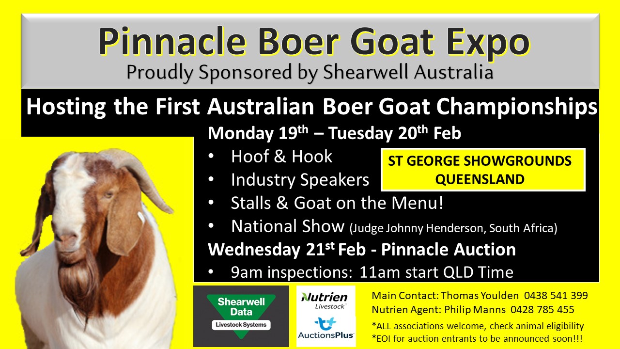 Pinnacle Boer Goat Expo & Australian Championships