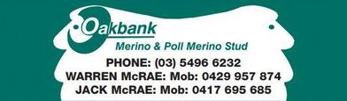 Oakbank Merino Ram Sale