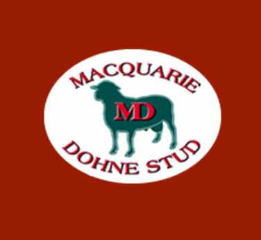 Macquarie Dohne Stud 21st Annual Production Sale