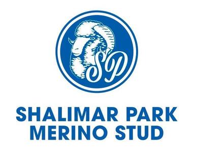 Shalimar Park Merino and Poll Merino Stud