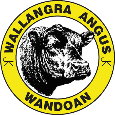 Wallangra Angus Third Annual Bull & Heifer Sale