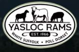 Yasloc Poll Dorset Ram Sale