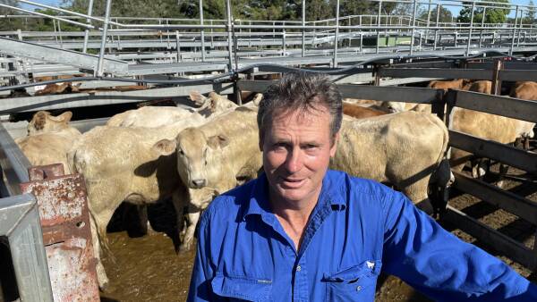 Grass-fed confidence at Grafton store sale