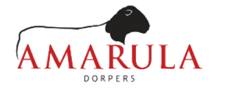 Amarula Dorpers & White Dorpers Ram Sale