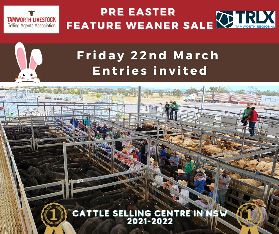 Pre-Easter Feature sale - Tamworth