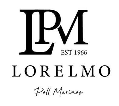 Lorelmo Poll Merino Ram Sale