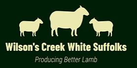 Wilson’s Creek White Suffolk Ram Sale