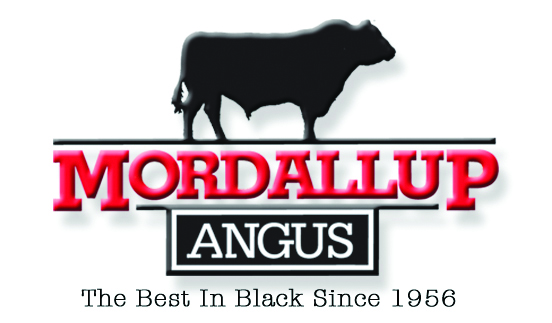 Mordallup Angus Yearling Bull Sale