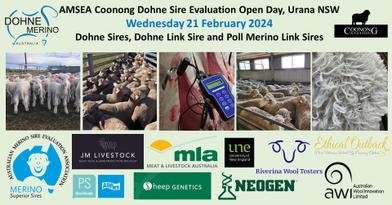 AMSEA Coonong Sire Evaluation Open Day