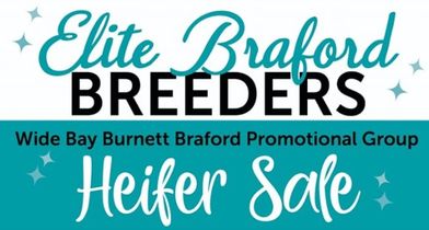 Elite Braford Breeders Heifer Sale